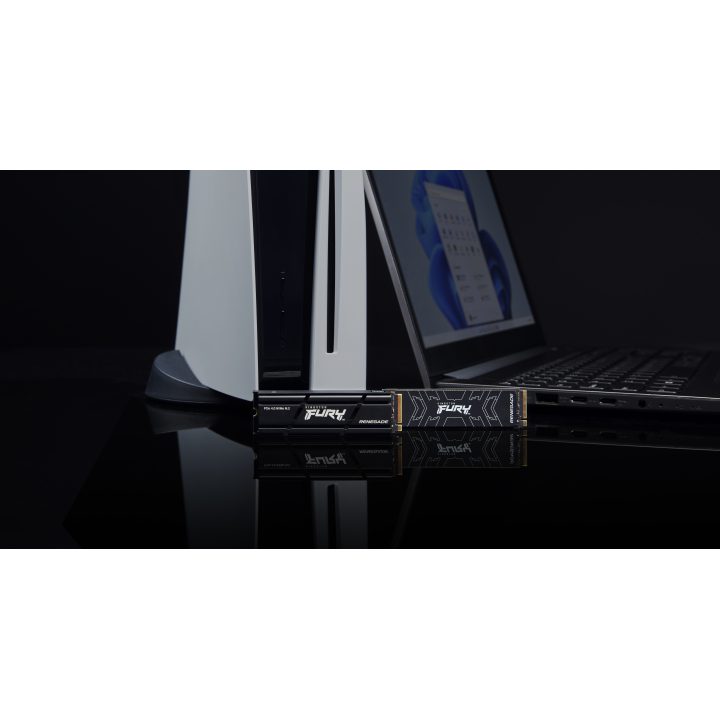 Kingston Technology 4000G RENEGADE PCIe 4.0 NVMe SSD W/ Heat Diffuser