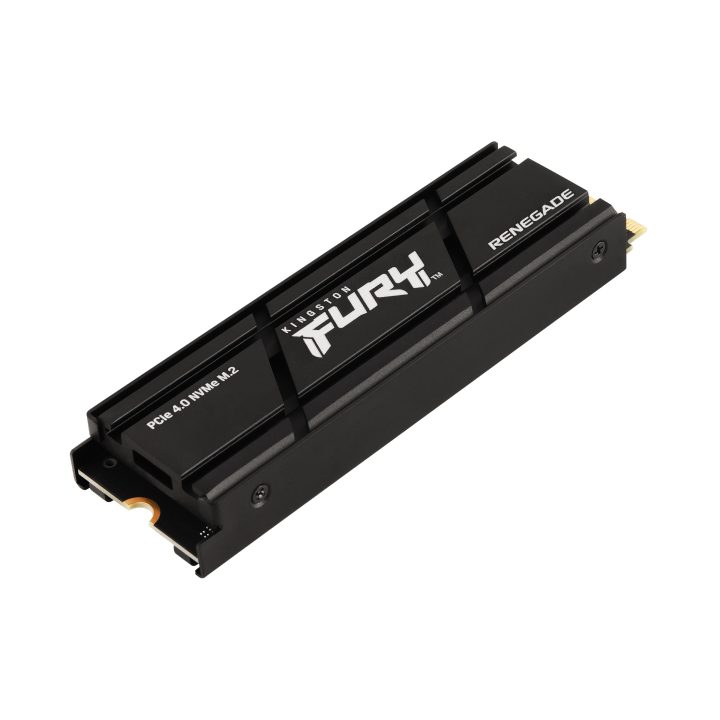 Kingston Technology 4000G RENEGADE PCIe 4.0 NVMe SSD c/ Difusor…
