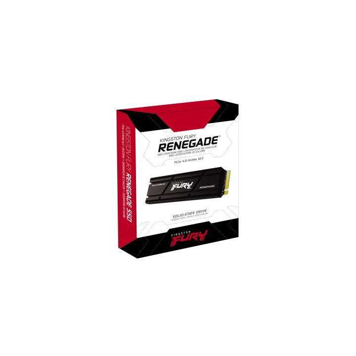 Kingston Technology 4000G RENEGADE PCIe 4.0 NVMe SSD c/ Difusor…