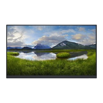 Dell P Series P2422H_WOST 23.8" Full HD IPS
