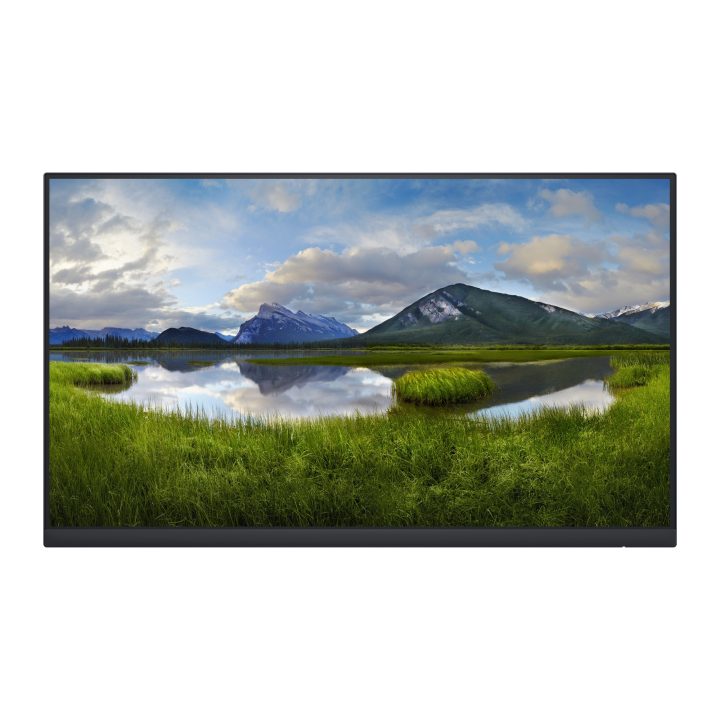 Dell P Series P2422H_WOST 23,8" Full HD IPS