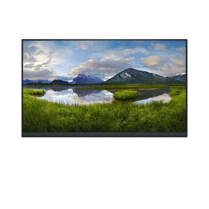 Dell P Series P2422H_WOST 23,8" Full HD IPS