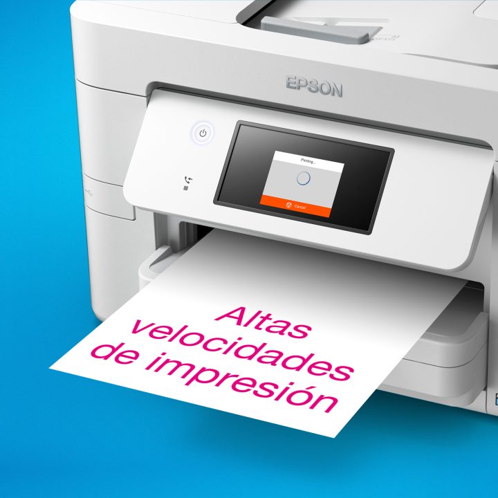 Epson WorkForce Pro WF-M4619DWF