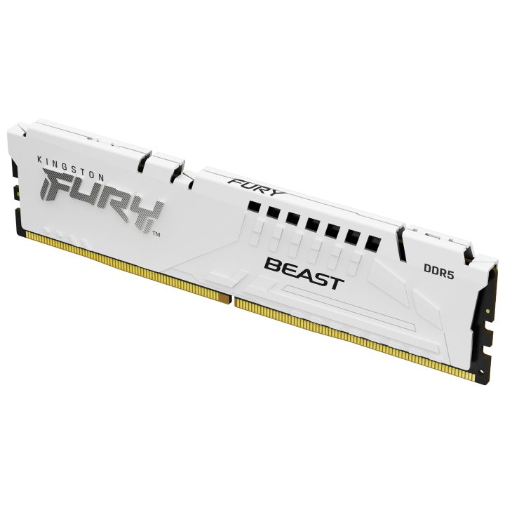 Kingston FURY Beast 32 GB DDR5 CL32