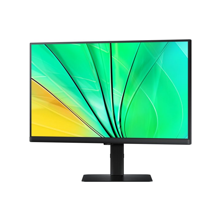 Samsung S60D 24" QHD 100 Hz IPS