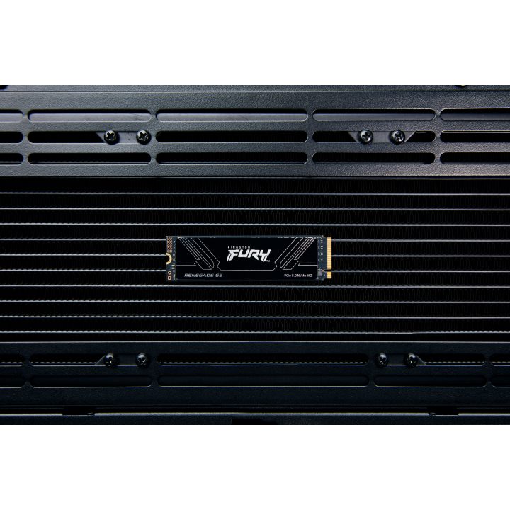 Kingston FURY Renegade G5 4 TB M.2 NVMe PCIe 5.0