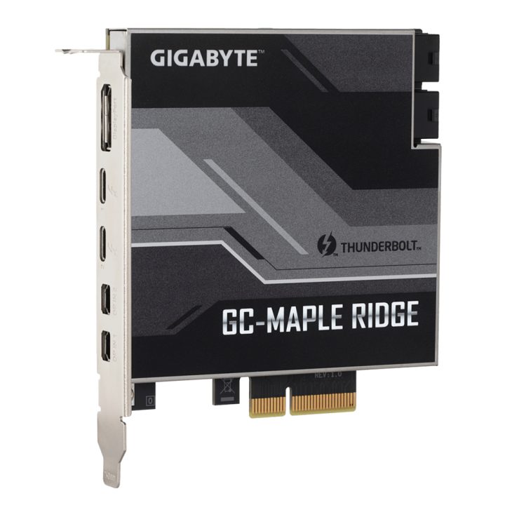 GIGABYTE GC-MAPLE RIDGE placa e adaptador de interface interno…