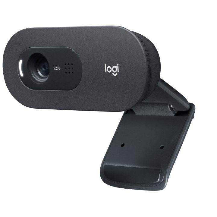 Logitech C505 Câmara Web HD USB Grafite