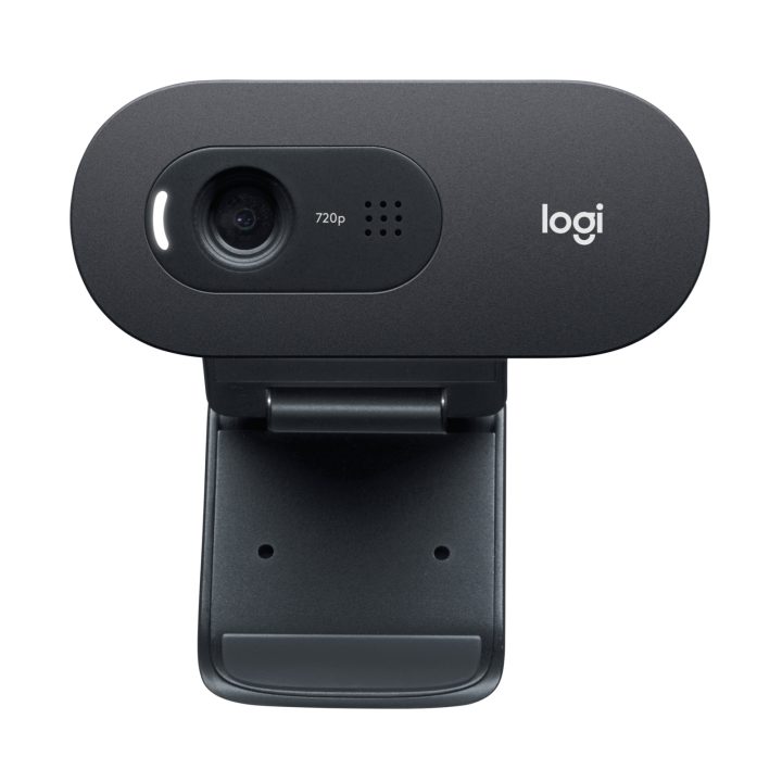 Logitech C505 Câmara Web HD USB Grafite