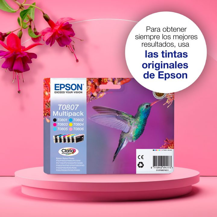 Epson Hummingbird Multipack T0807 6 cores (etiqueta RF)