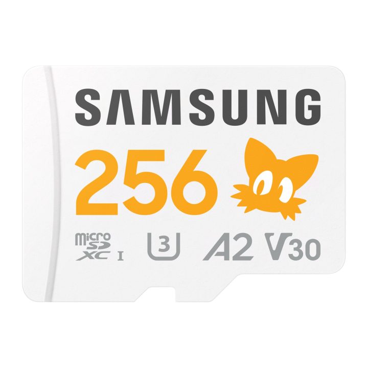 Samsung MB-MD256S 256 GB MicroSDXC UHS-I Classe 10