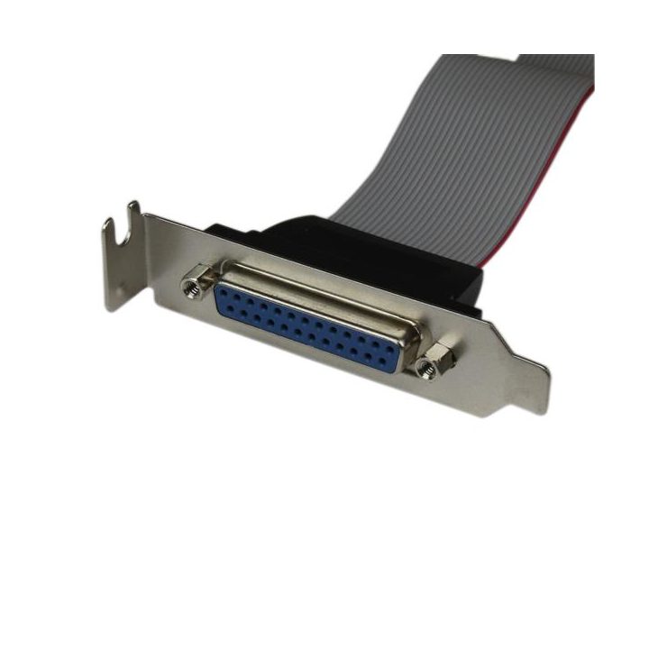 StarTech.com Adaptador de 40cm Header Cabezal Bracket Paralelo Perfil…