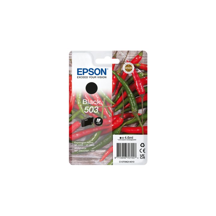 Epson Singlepack Black 503 Tinta