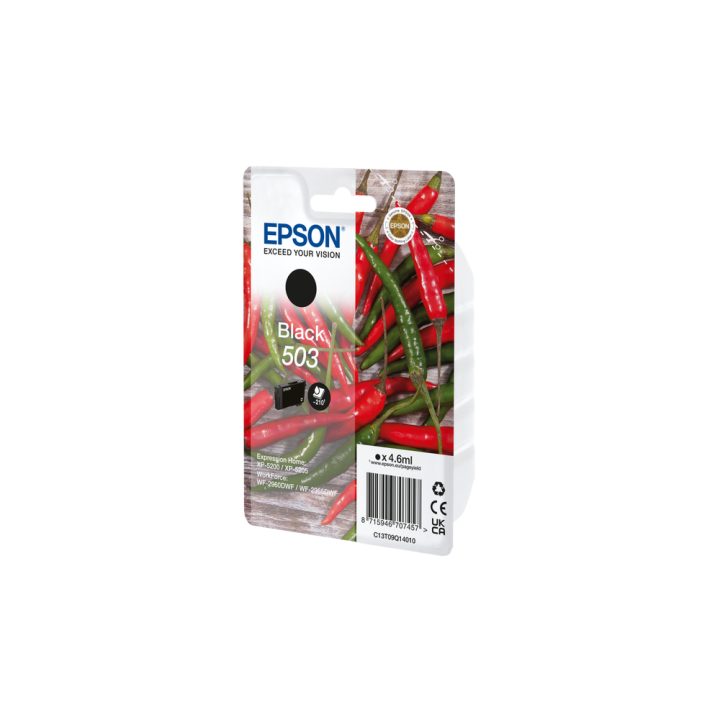 Epson Singlepack Black 503 Tinta