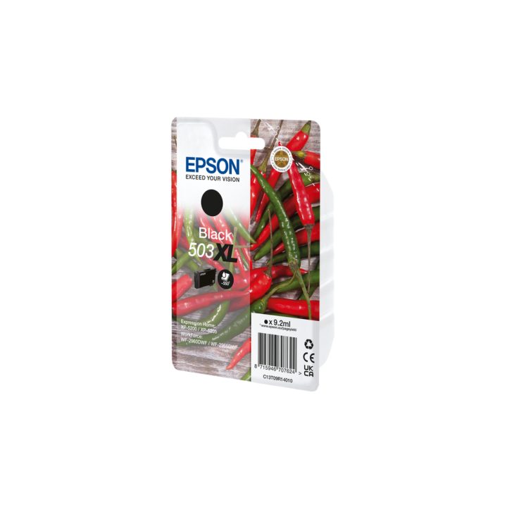 Epson Singlepack Black 503XL Ink