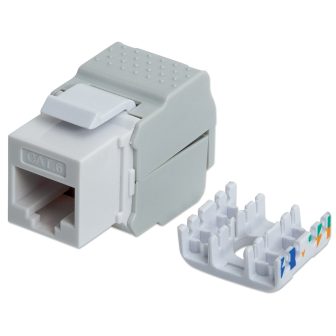 Intellinet 167062 módulo de conector de red