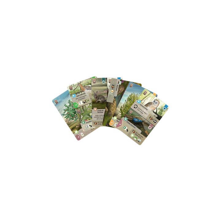 Asmodee Jogo de tabuleiro Forest Shuffle Dartmoor (LOG0156ES)