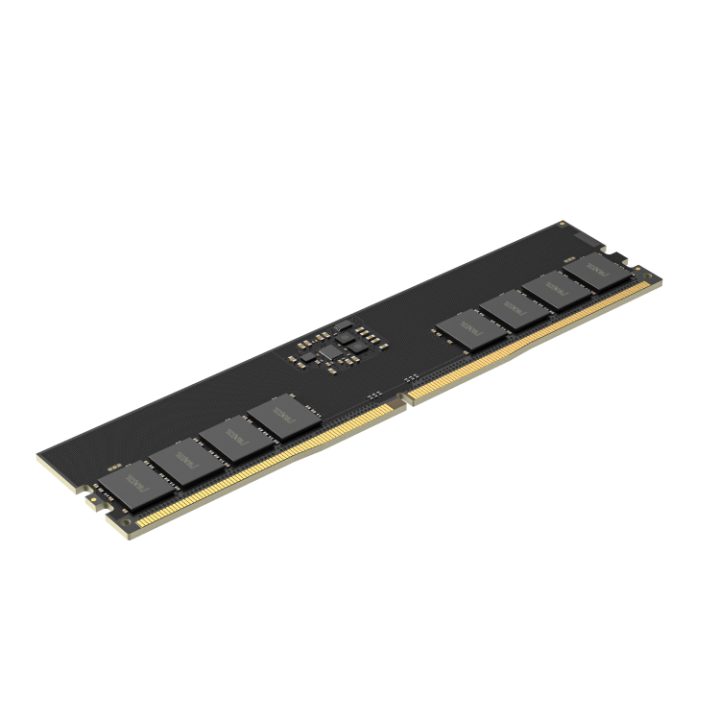 Memoria RAM DDR5 8GB Lexar udimm 5600 MHz (LD5U08G56C46ST-BGS)