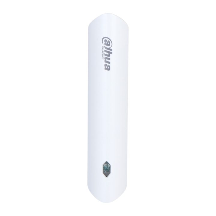 Dahua Technology ARM310-W2(868)