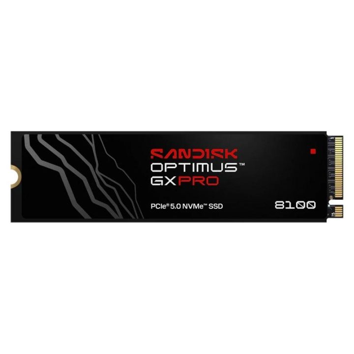 SanDisk Optimus GX Pro 8100 2 TB M.2