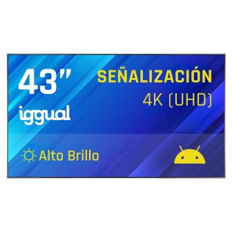 iggual 4K 43" High Brightness Signage Display