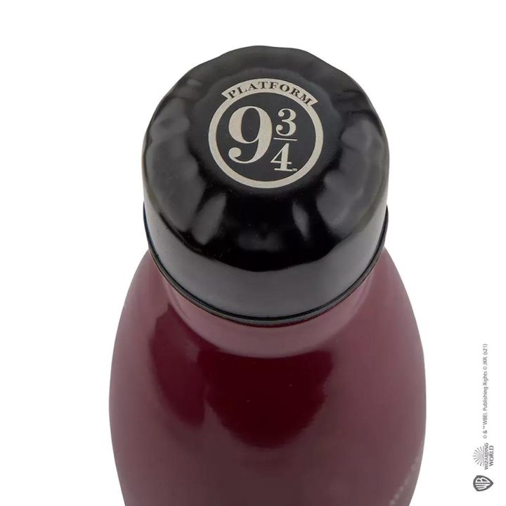 Botella isotermica Cinereplicas Harry Potter anden 9 3-4 500ml…