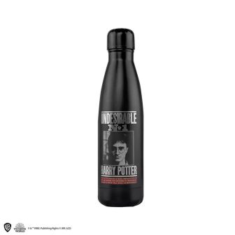 Garrafa térmica Cinereplicas Harry Potter Harry wanted 500 ml…