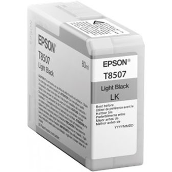 Epson Singlepack Light Black T850700
