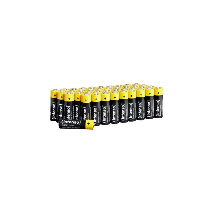 Intenso | Pila Alcalina AA LR6 100 pcs (7501521)