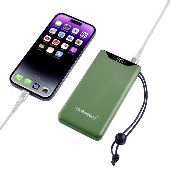 Intenso F10000 Green Power Bank 10000 mAh (7332037)