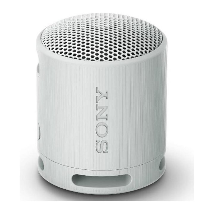 Sony SRS-XB100 Wireless Speaker Gray (SRSXB100H.CE7)