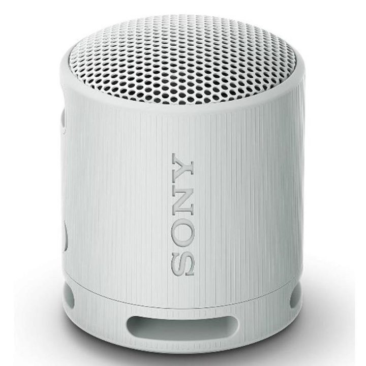 Sony SRS-XB100 Wireless Speaker Gray (SRSXB100H.CE7)