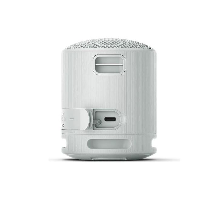 Altavoz inalambrico Sony srs-XB100 gris (SRSXB100H.CE7)