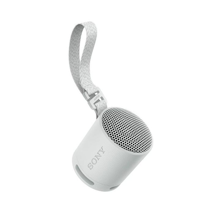 Altavoz inalambrico Sony srs-XB100 gris (SRSXB100H.CE7)