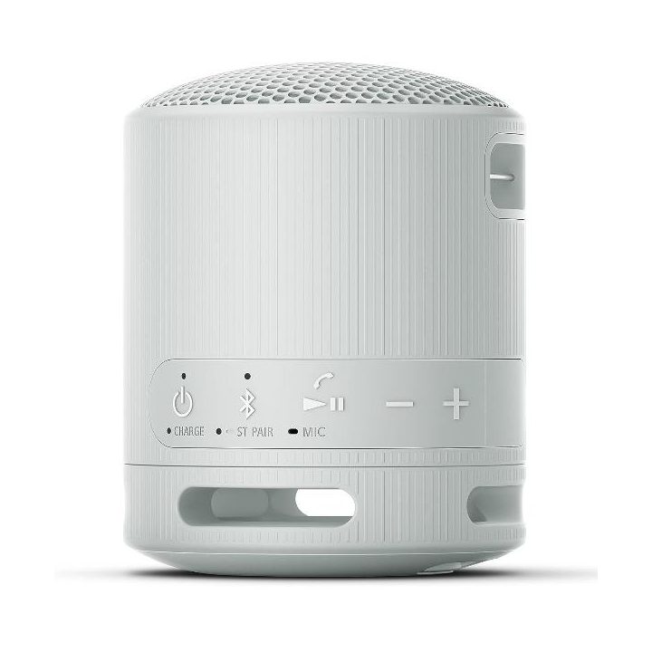 Altavoz inalambrico Sony srs-XB100 gris (SRSXB100H.CE7)