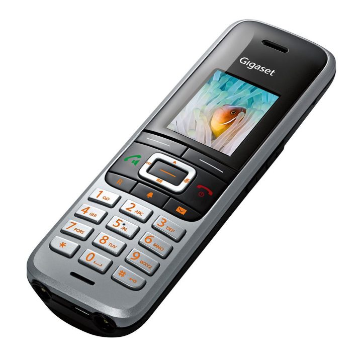 Gigaset corded 100 (S30054-H6543-D202)