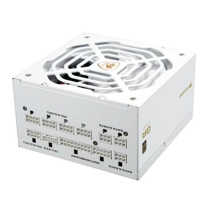 Cougar GR 1000 Snow 80+ Gold Power Supply (31GR100S01P01)