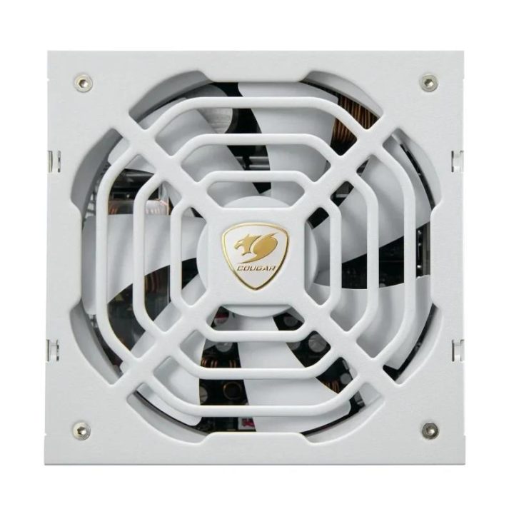 Cougar GR 1000 Snow 80+ Gold Power Supply (31GR100S01P01)
