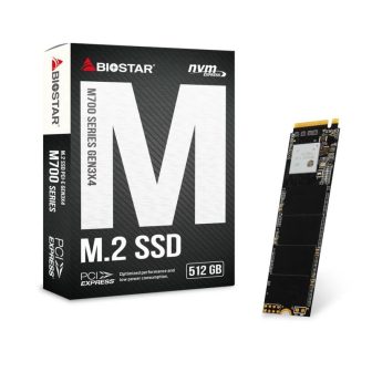 Biostar M710 512 GB NVMe PCIe 3.0