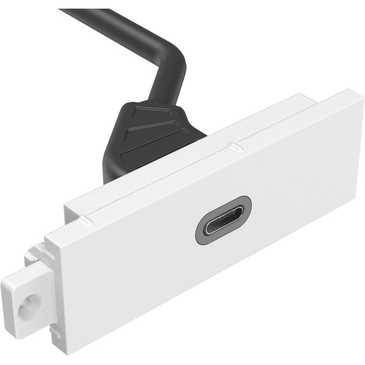Componente de placa frontal AV modular Vision - módulo USB C - ficha…