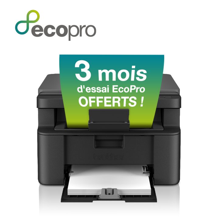 Brother DCP-L1640W A4 laser printer