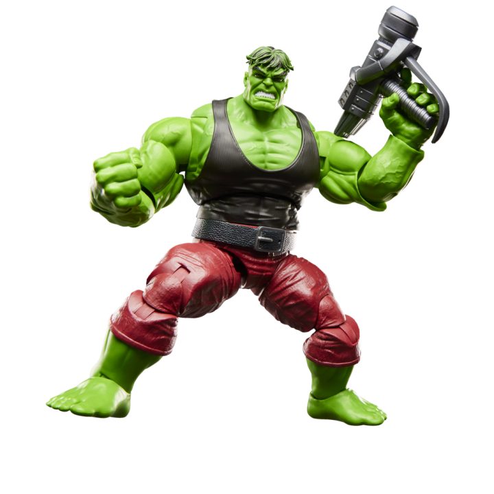 Marvel Legends Series Professor Hulk