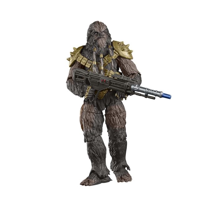 Star Wars F83675L0 action figure for kids