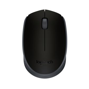 Logitech M171
