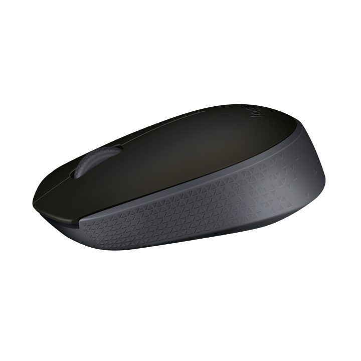 Logitech M171