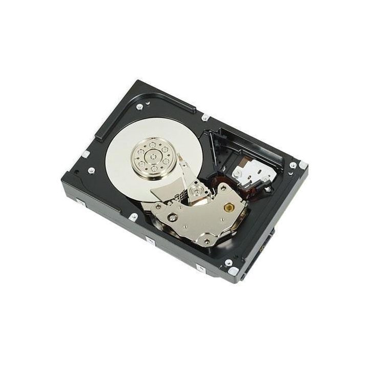 DELL 400-AUPW disco duro interno 1 TB 7200 RPM 3.5" Serial ATA III