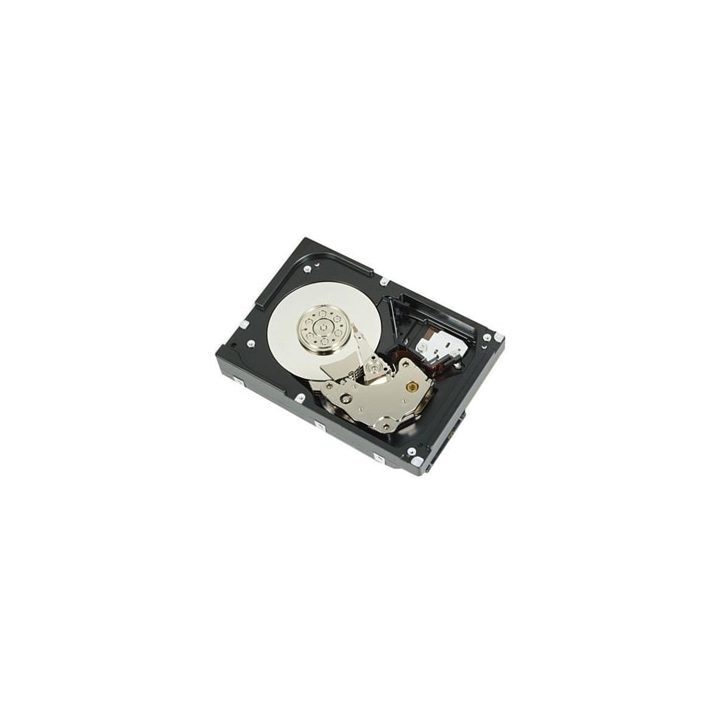 DELL 400-AUPW disco rígido interno 1 TB 7200 RPM 3.5" Serial ATA III