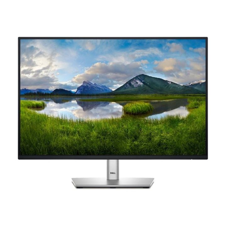 Monitor Dell Pro Plus P2425E 24" WUXGA 100 Hz IPS