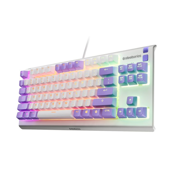 SteelSeries Apex 3 TKL Amethyst (US) Keyboard (64951) · US English…