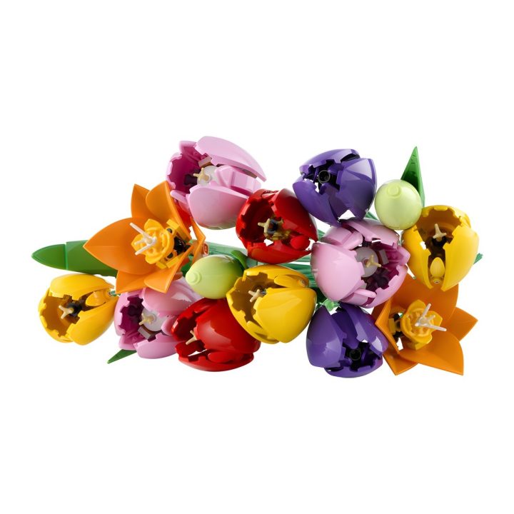 LEGO Botanicals Tulip Bouquet (11501)